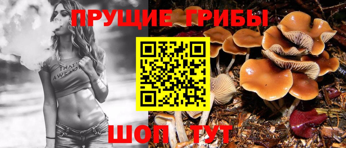 Псилоцибиновые грибы MAGIC MUSHROOMS Москва